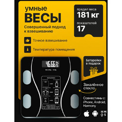 Умные напольные весы Мера Smart Fit Pro 71061822 (черный)