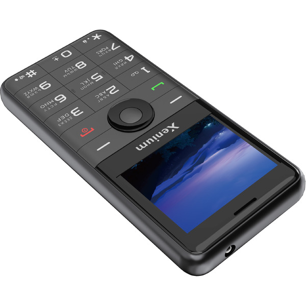 Сотовый телефон Xenium X700 черный