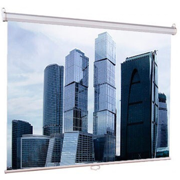 Экран Lumien LEP-100102