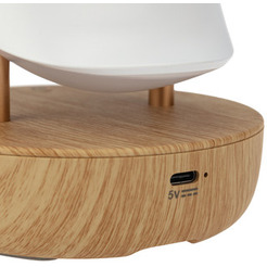 Интерьерный светильник NEON-NIGHT Тукан 503-059