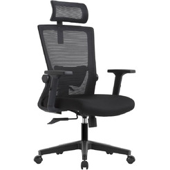 Кресло компьютерное EVOLUTION ErgoLine 1