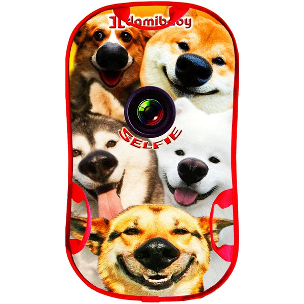 Санки-ледянка ДЭМИ ЛДМ.05 Селфи