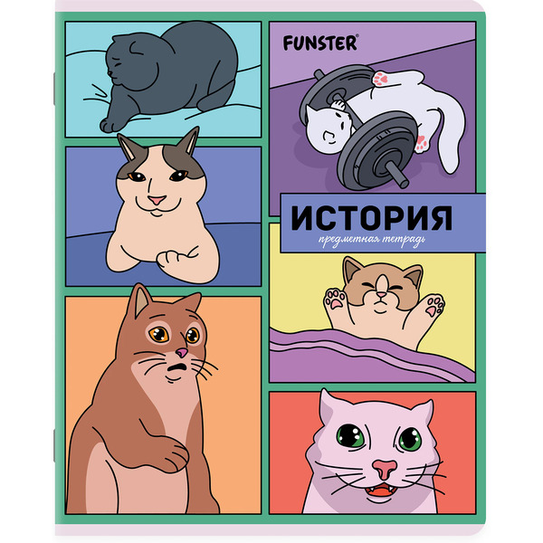 Тетради предметные Funster Мемные коты 405604 (12 шт)