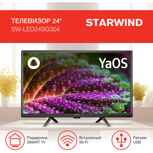 Телевизор StarWind SW-LED24SG304