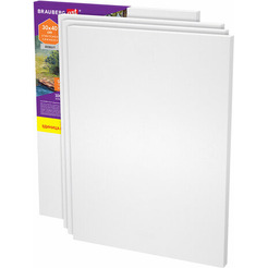 Холст для рисования BRAUBERG Art Debut 192511 (4шт)