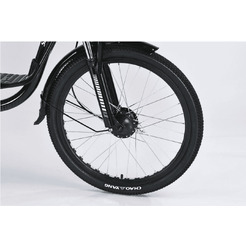 Электровелосипед SMARTBALANCE Corsa 20 (черный)