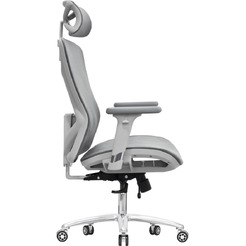 Кресло компьютерное EVOLUTION EXO F1 Mesh Grey