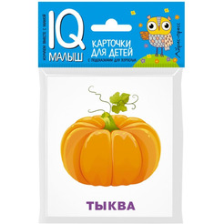 Набор карточек АЙРИС-ПРЕСС Умный малыш Что растет на грядке (978-5-8112-6448-3)