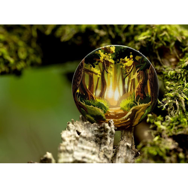 Настольная игра Стиль Жизни Грибные места LS147