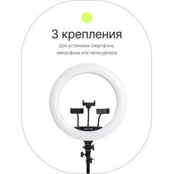 Кольцевая лампа Raylab RL-0118 Kit