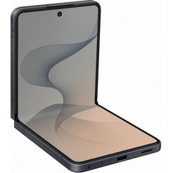 Смартфон Samsung Galaxy Z Flip8 SM-F776 12GB/512GB (графитовый)