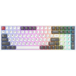 Клавиатура Royal Kludge RK100 Grey/Red/White (Brown switch)