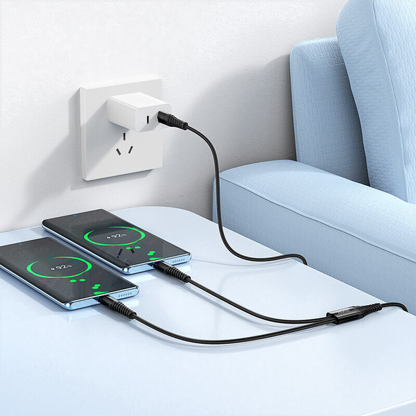 Зарядный кабель Hoco X123 Victory 2-в-1 USB-C to USB-C + USB-C (черный)
