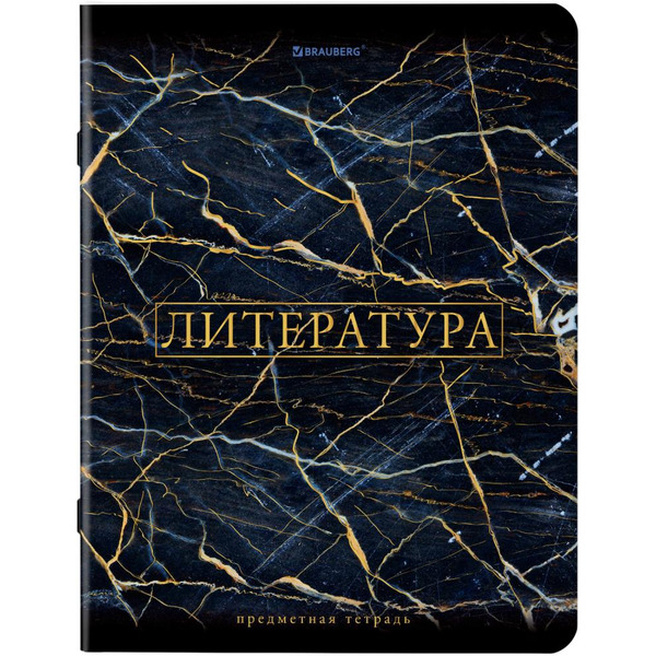 Тетради предметные BRAUBERG 404326 (КОМПЛЕКТ 12 ПРЕДМЕТОВ, 48л, SoftTouch, фольга)