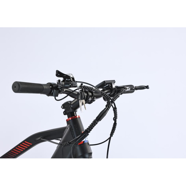 Электровелосипед Smart Balance City (черный)