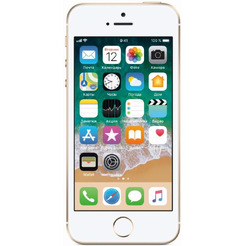 Смартфон APPLE iPhone SE 16GB Gold (A1723)