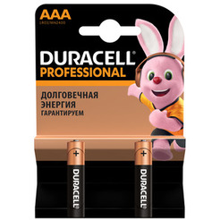 Батарейки DURACELL Professional LR03/MN2400 2BP