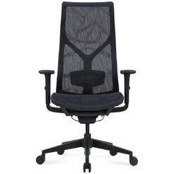 Кресло компьютерное SitZone CH-283A-P1 (сетка, черный)