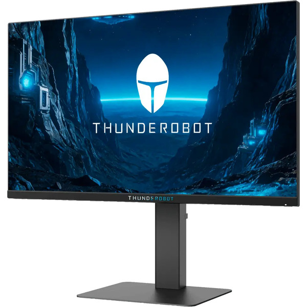 Игровой монитор Thunderobot Black Warrior 25F300L