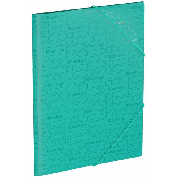 Папка на резинке Berlingo "Your Way" FB4_A4893