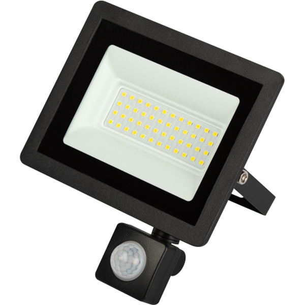 Уличный прожектор ЭРА LPR-042-2-65K-050