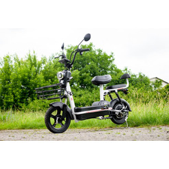 Электровелосипед AVM Delta Lite (черный)