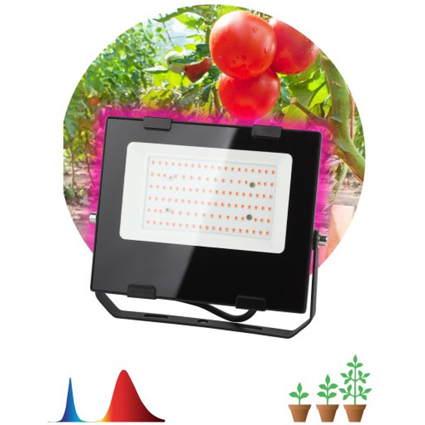 Фитопрожектор ЭРА FITO-50W-RB-LED