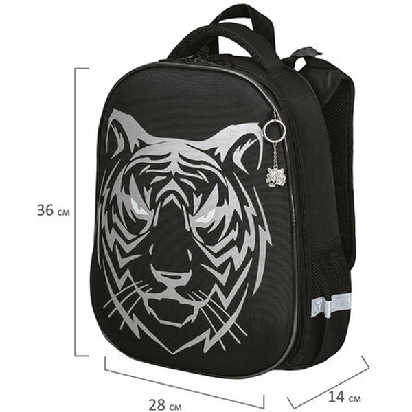 Ранец BRAUBERG SHINY Tiger 270698