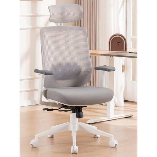 Кресло компьютерное EVOLUTION HybridFlex (белый)