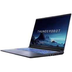 Игровой ноутбук Thunderobot 911 Plus G3 XE (JT009B00JRU)