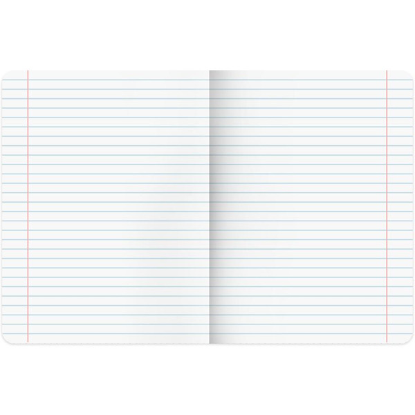 Тетради предметные BRAUBERG 404840 (КОМПЛЕКТ 12 ПРЕДМЕТОВ, 48л, покрытие твин-лак)