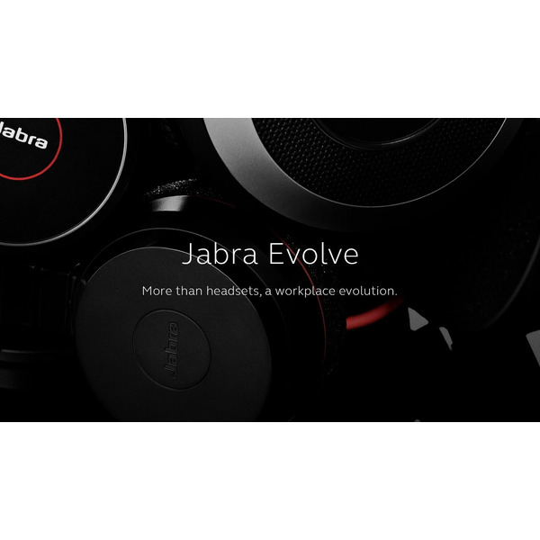 Гарнитура JABRA EVOLVE 20 MS Stereo