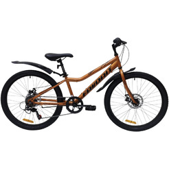 Велосипед Favorit Sirius 24MDS р.12 SIR24MD12OR (оранжевый)