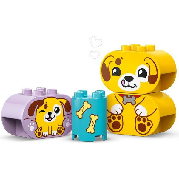 Конструктор Lego Duplo Сортировщик фигур: дом для щенков 10441