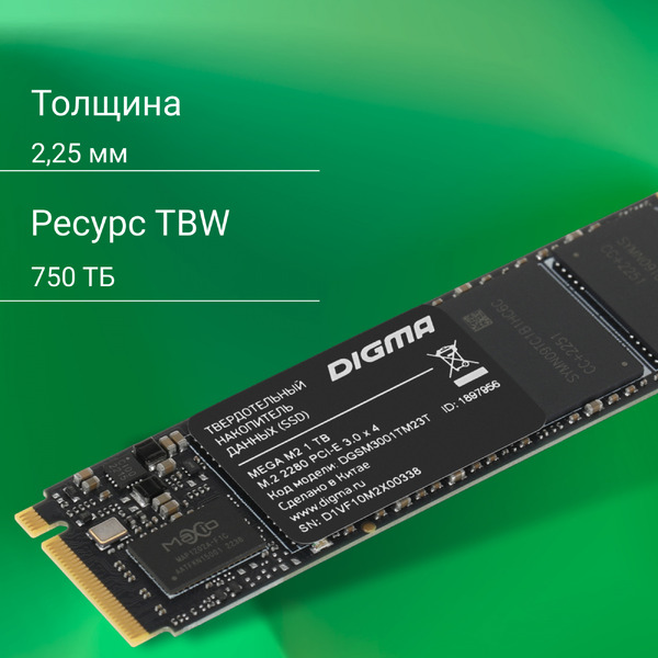 SSD Digma Mega M2 1TB DGSM3001TM23T