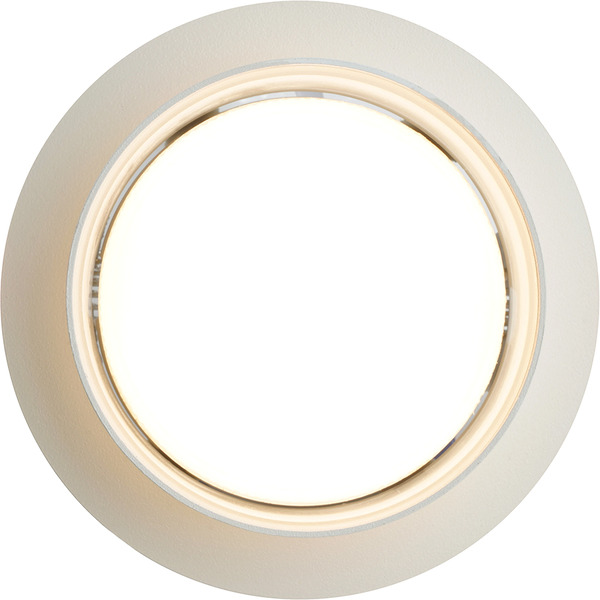 Светильник Feron DL500 51085