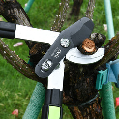 Сучкорез Deli EDL580423