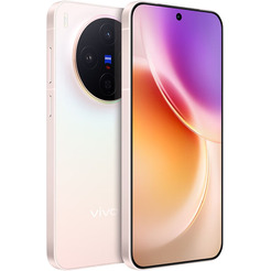 Смартфон vivo X300 V2515 12GB/256GB (розовый)