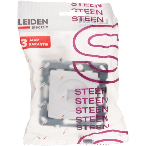 Розетка компьютерная Leiden Electric Steen 806101