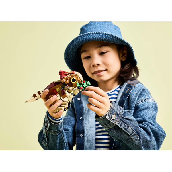 Конструктор LEGO Jurassic World Детёныш динозавра Долорес: Аквилопс 76970