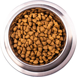 Сухой ветеринарный корм для собак Monge Vet Solution Hepatic (2кг)