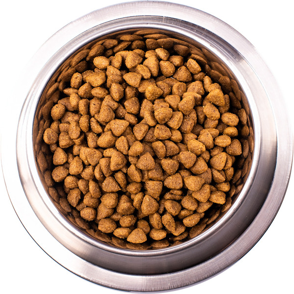 Сухой ветеринарный корм для собак Monge Vet Solution Hepatic (2кг)