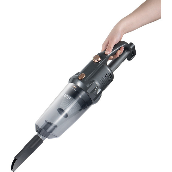 Пылесос RAF R.8763