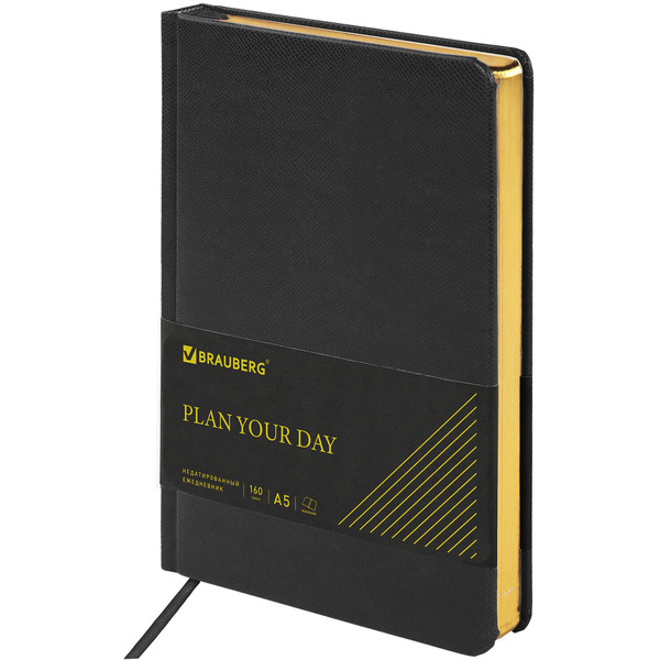 Ручка перьевая PARKER Jotter Core Stainless Steel GT (ежедневник А5 черный, пакет) 880902