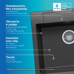 Мойка кухонная Polygran Argo 560 (черный)