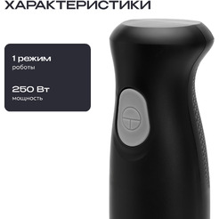 Блендер погружной RAGEX R1506-000 (черный)