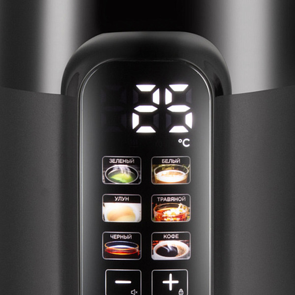 Чайник электрический Redmond KG225