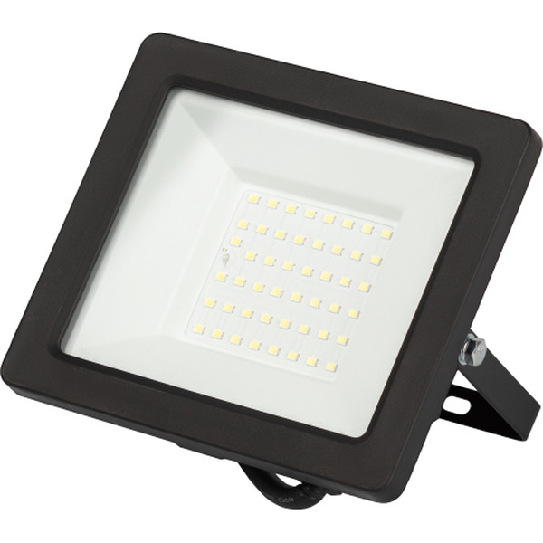 Уличный прожектор ЭРА LPR-042-3-65K-050