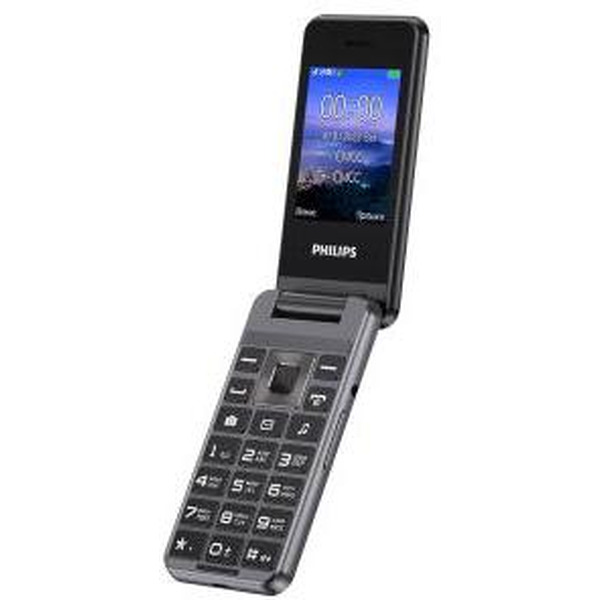 Мобильный телефон Philips Xenium E2601 (темно-серый)