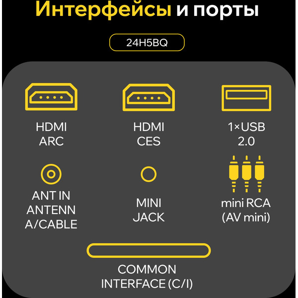 Телевизор Quantum 24H5BQ